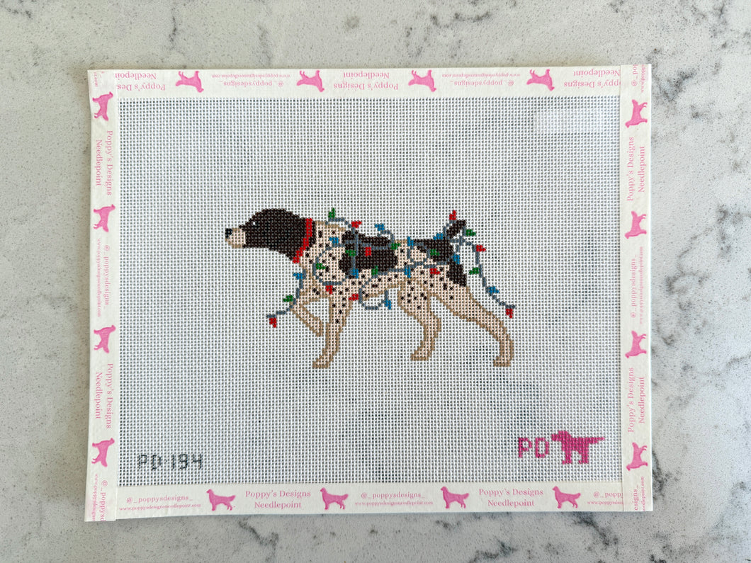 Christmas Lights- German Shorthaired Pointer
