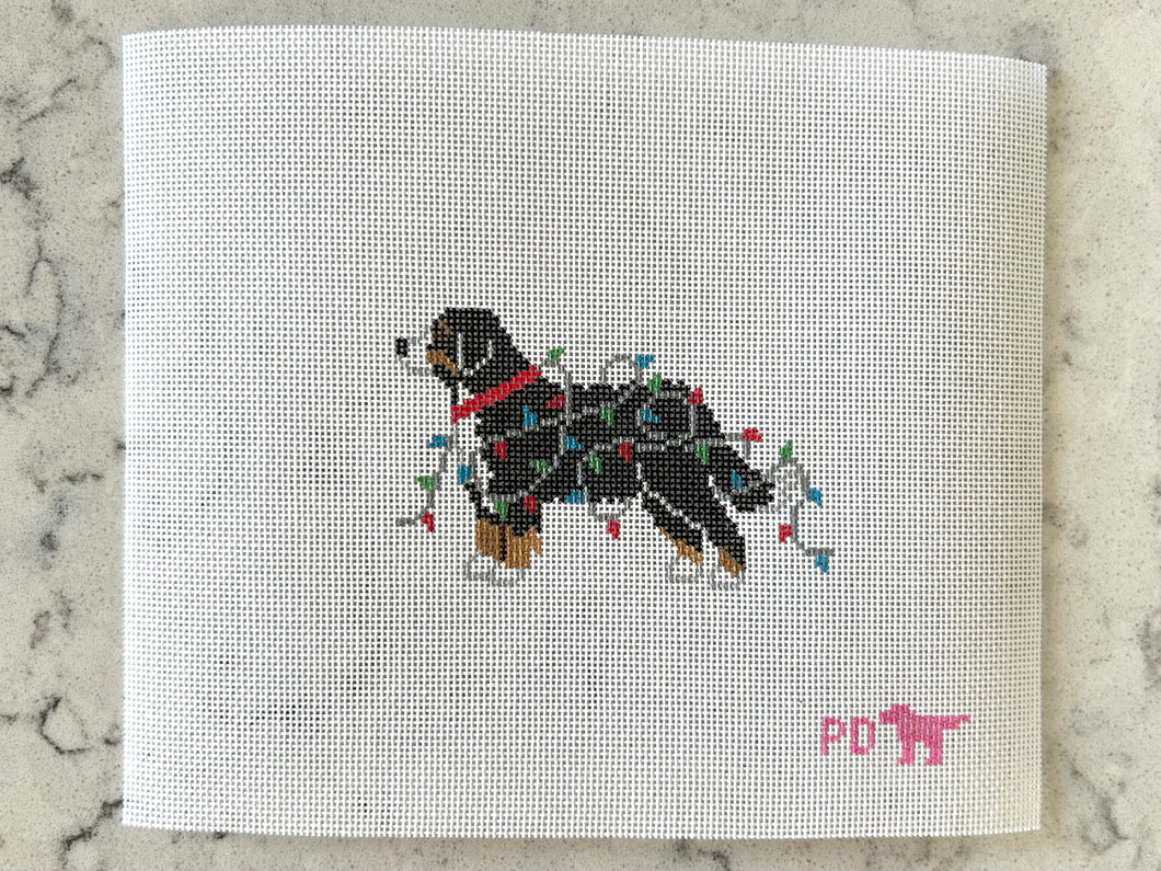 Bernese Mountain Dog Wrapped in Lights