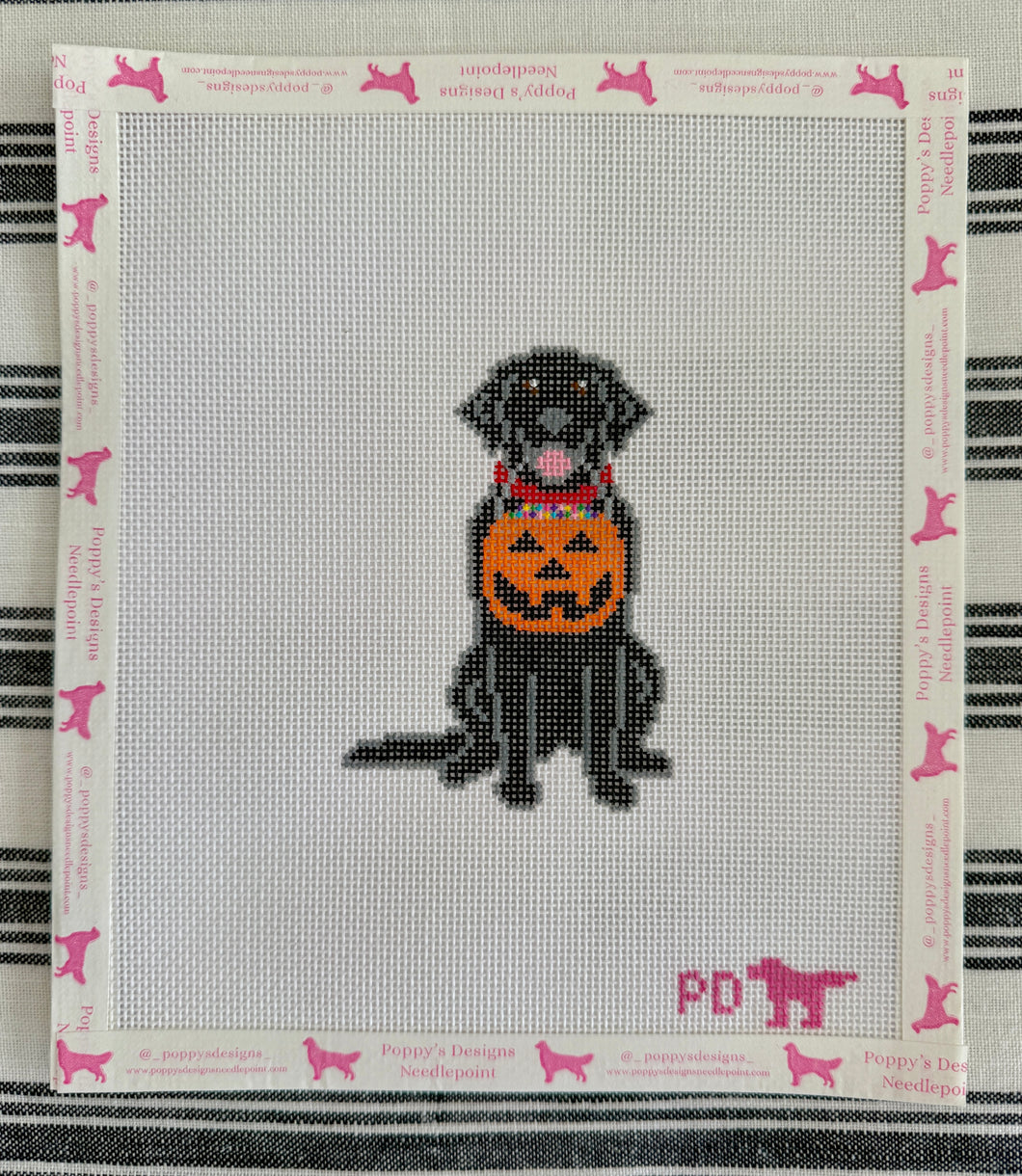 Halloween Dog- Black Lab