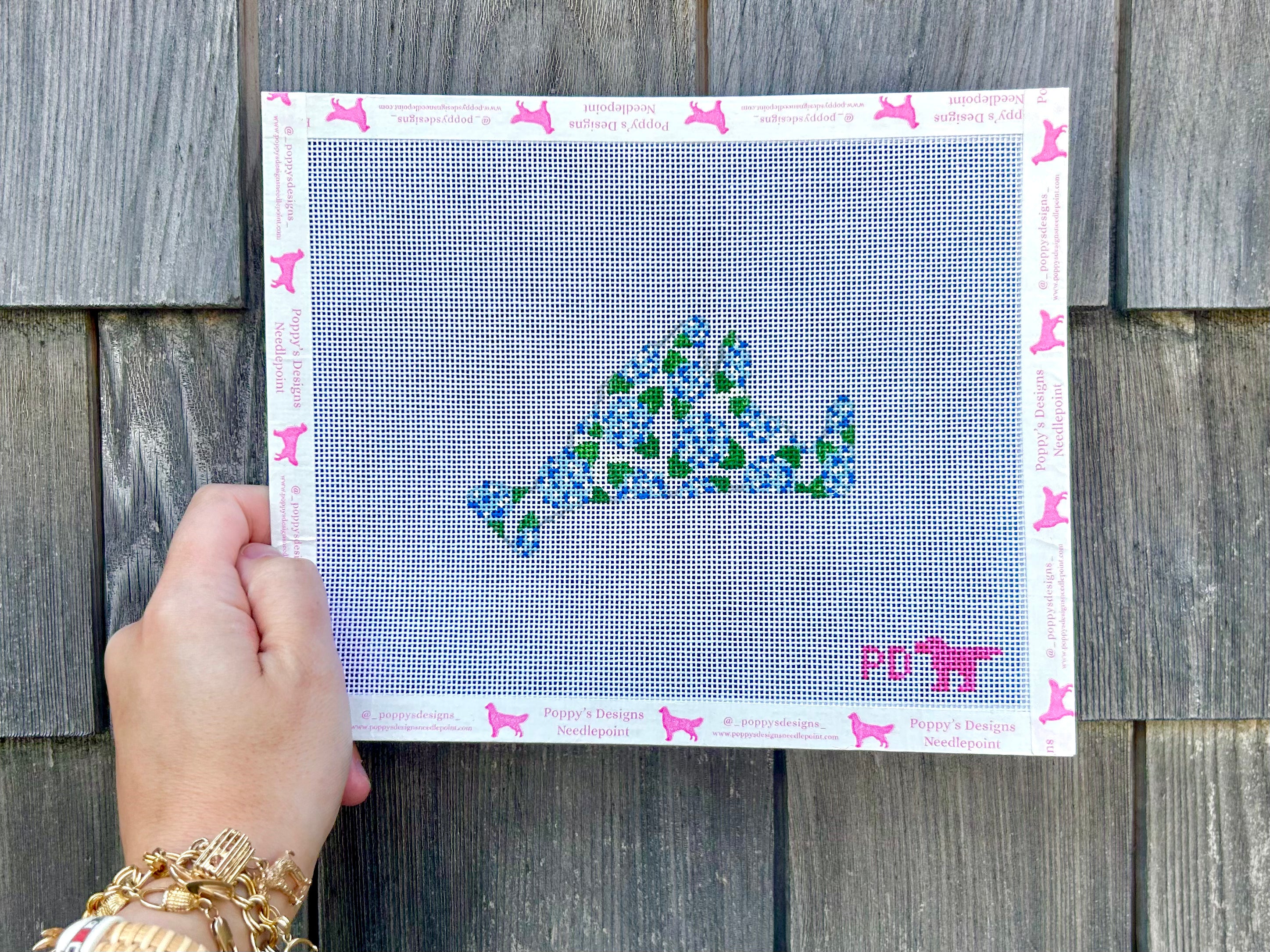 Hydrangea Martha’s Vineyard Preorder