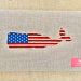 Load image into Gallery viewer, Preorder Patriotic Whale Canvas
