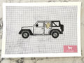 Jeep Wrangler with Dog